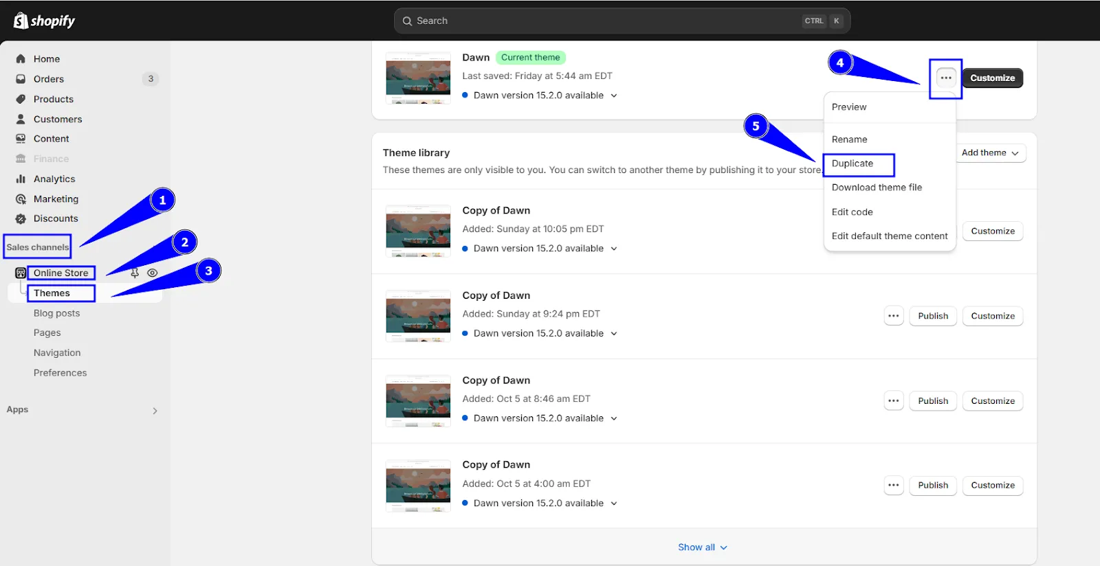 Duplicate Your Theme